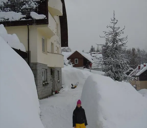 Sport ゲストハウス